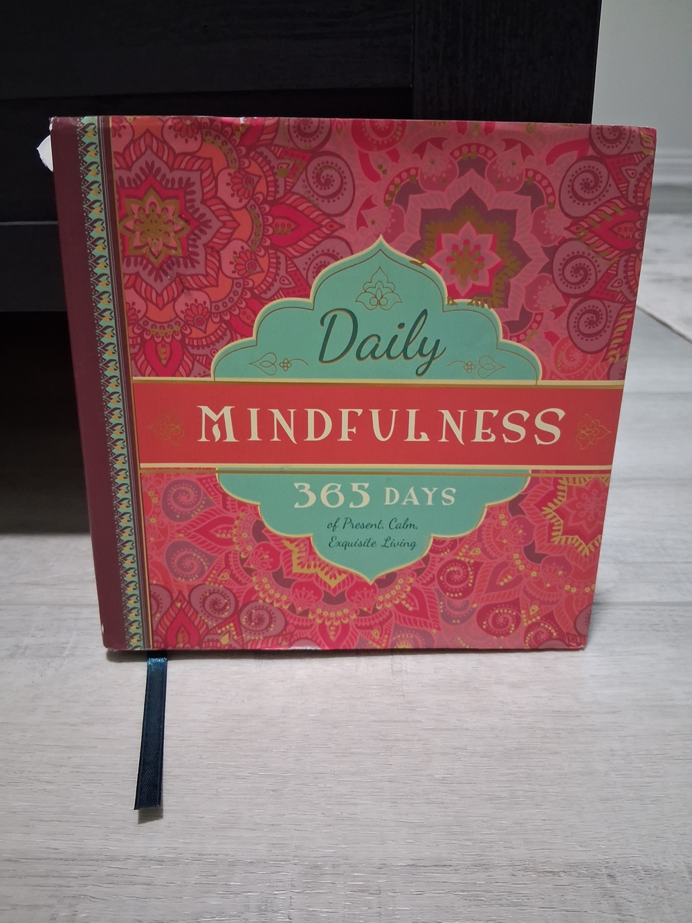 Daily Mindfulness 365 Days Guided Journal - Pink & Teal